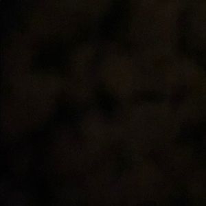 Meet your Posher, Miley